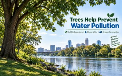Trees Help Prevent Water Pollution