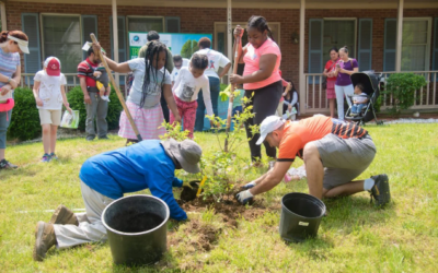 You Just Planted a Tree: How to Ensure it Thrives!